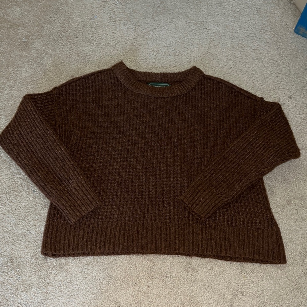 Brown American Eagle Sweater